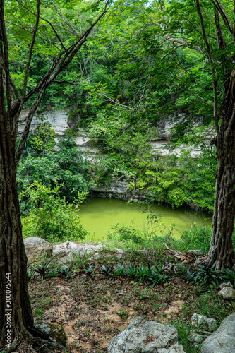 Secret, beautiful cenote hidden in the forest
