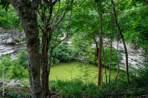 Fototapeta Naklejka Na Ścianę i Meble -  Secret, beautiful cenote hidden in the forest