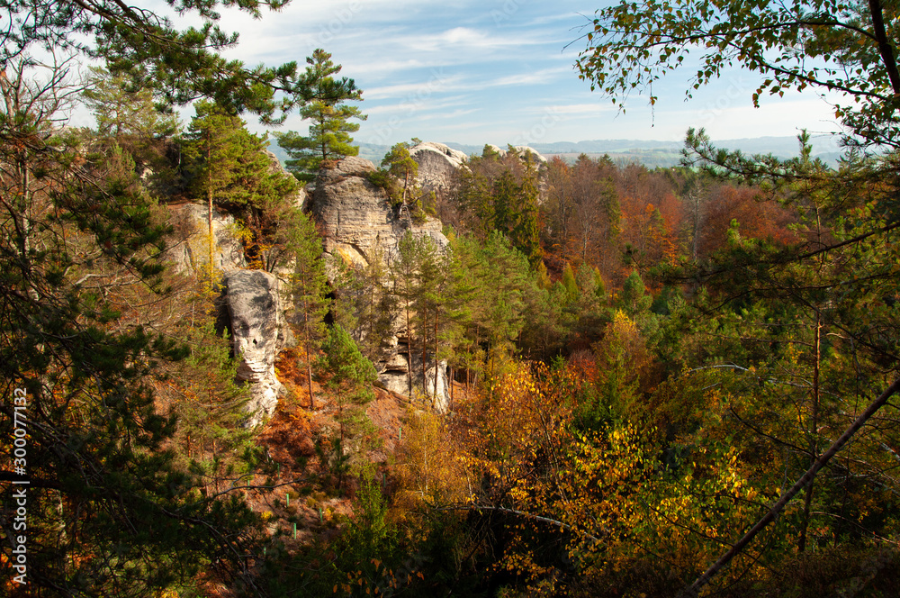 Autumn forest, castle, rocks