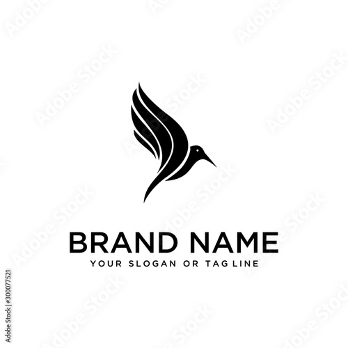 bird design logo vector white background template