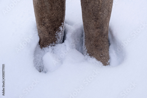 close up Man feet with traditional Russian felt boots 