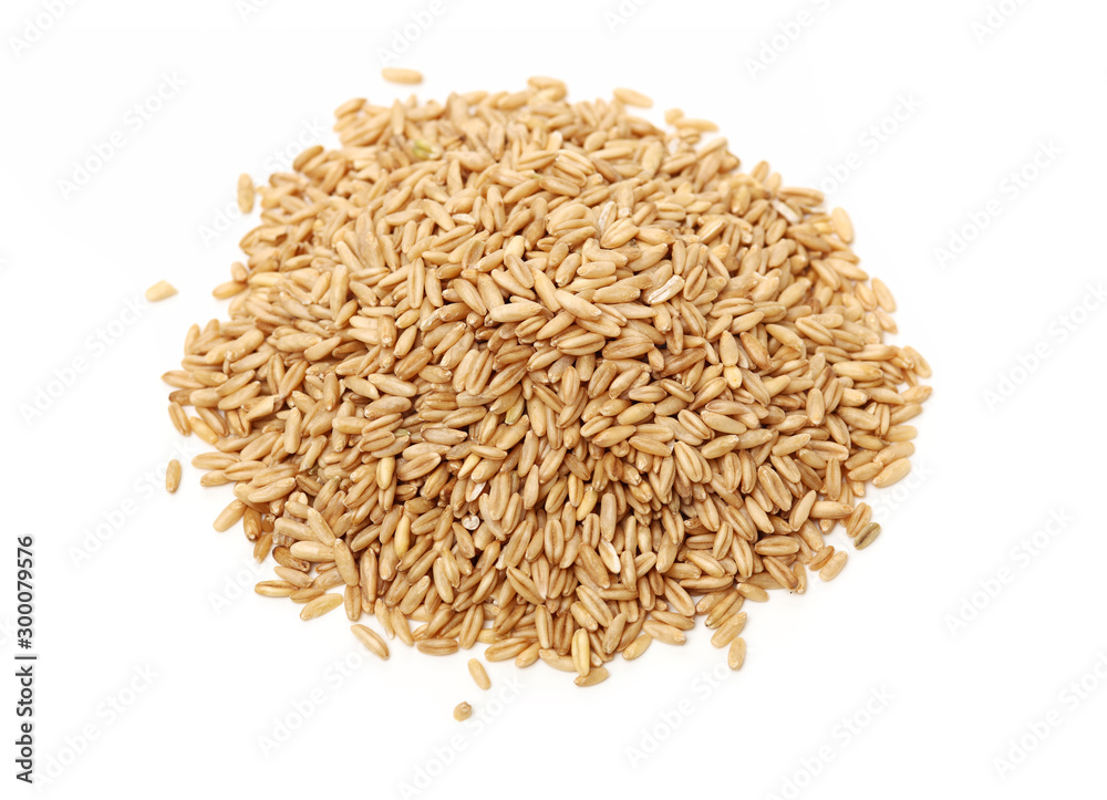 Oat grains on a white background Oat grains on a white background