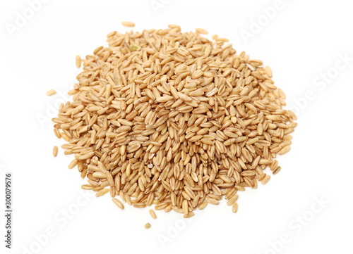 Oat grains on a white background 