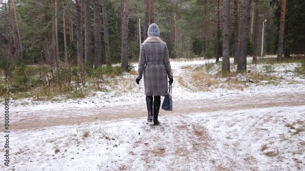 girl walks in the winter forest girl walks in the winter forest