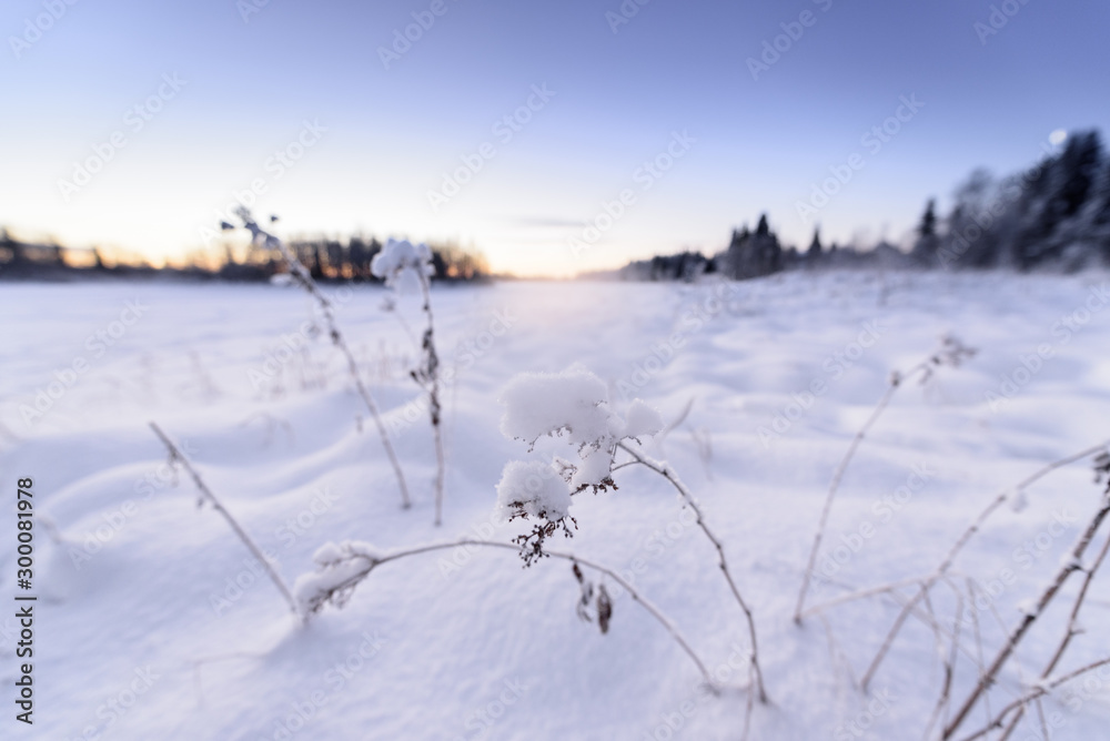 The ice lake and forest has covered with heavy snow and nice blue sky in winter season at Holiday Village Kuukiuru, Finland. The ice lake and forest has covered with heavy snow and nice blue sky in winter season at Holiday Village Kuukiuru, Finland.