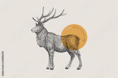 Canvastavla Hand drawing of a forest deer on a light background