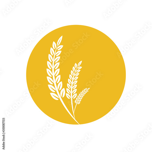Agriculture wheat vector Illustration design template. elements of wheat grain, wheat ears, seed or rye, prosperity symbol	