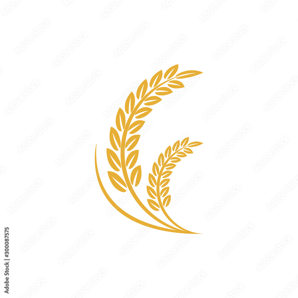Agriculture wheat vector Illustration design template. elements of wheat grain, wheat ears, seed or rye, prosperity symbol Agriculture wheat vector Illustration design template. elements of wheat grain, wheat ears, seed or rye, prosperity symbol