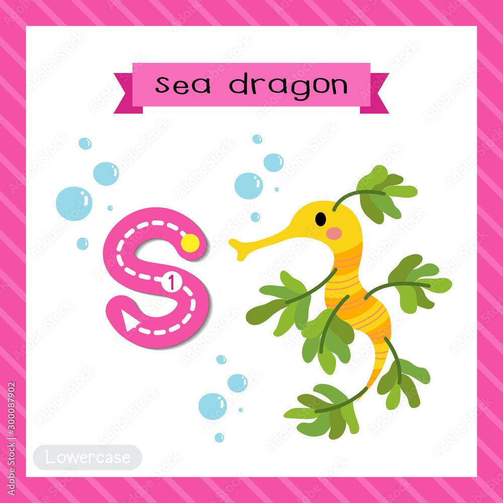 Letter S lowercase tracing. Sea Dragon Letter S lowercase tracing. Sea Dragon