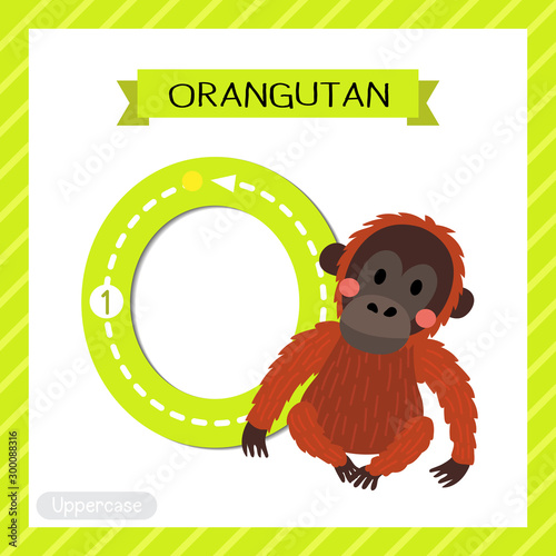 Letter O uppercase tracing. Sitting Orangutan