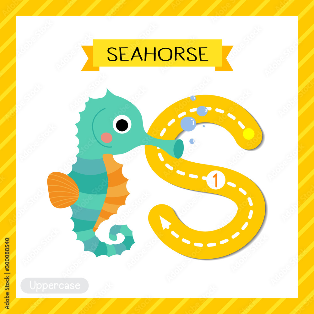 Fototapeta premium Letter S uppercase tracing. Cute Seahorse