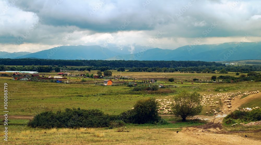 farmland with sheep with mountains in the background