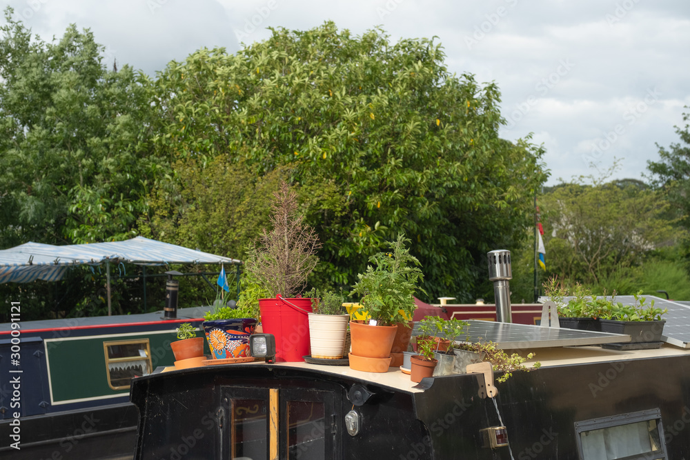 Canal boat seen moored up on a famous English canal. Various plant pots can be seen on deck, the canal boat used as a permanent residence. 