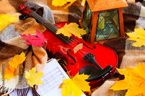 Autumn still life with a violin