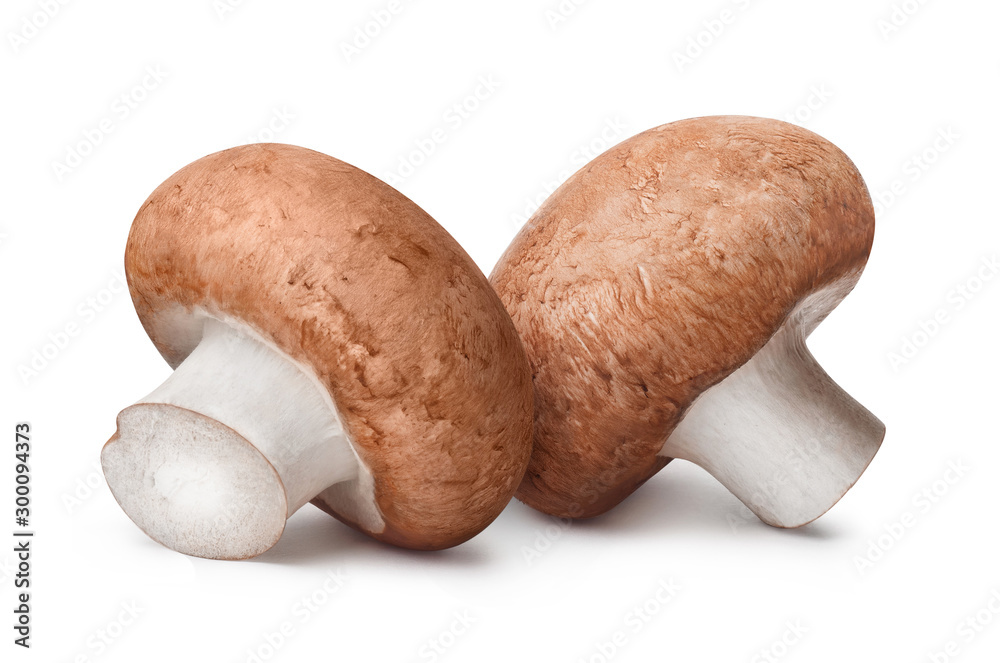 Close-up of two champignon mushrooms, isolated on white background Close-up of two champignon mushrooms, isolated on white background
