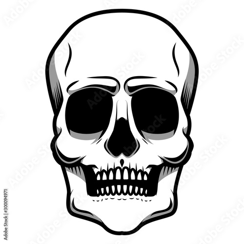 illustration of human skull isolated on white background. Design element for logo, label, badge, sign. Vector illustration