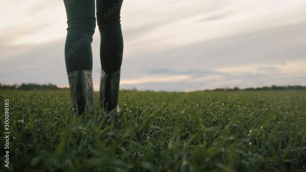 Farmer goes with rubber boots along green field. Rubber boots for work use. A worker go with his rubber boots at sunset time. Concept of agricultural business. Steadicam video. Farmer goes with rubber boots along green field. Rubber boots for work use. A worker go with his rubber boots at sunset time. Concept of agricultural business. Steadicam video.