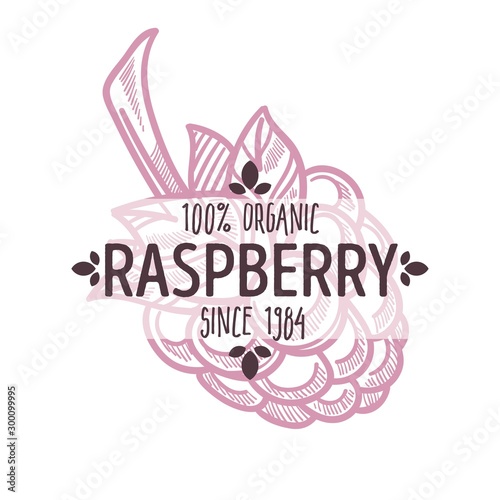 Raspberry isolated icon with lettering berry silhouette organic food