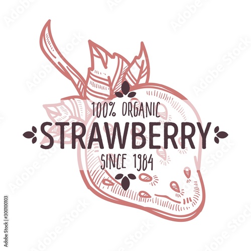Strawberry isolated icon with lettering organic farm food