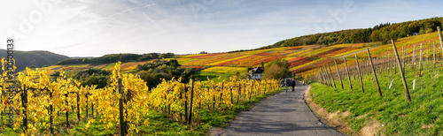 Indian summer on the red wine trail in the Ahr valley photo