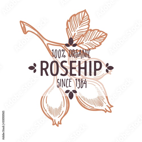 Rosehip isolated icon with lettering organic farm food