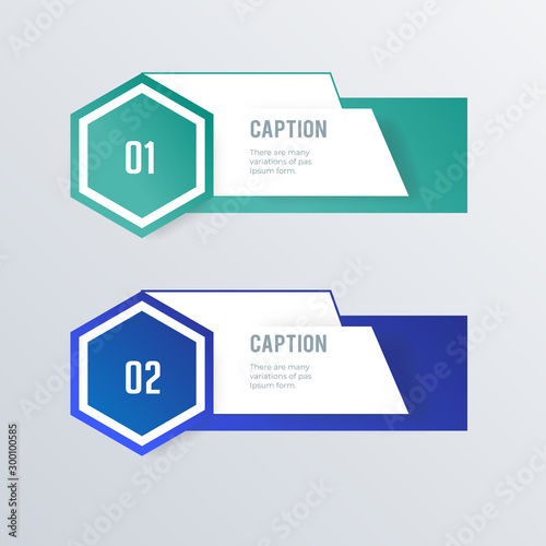 Hexagon list infographic template design. Business concept infograph with 2 options, steps or processes. Vector visualization can be used for workflow layout, diagram, annual report, web