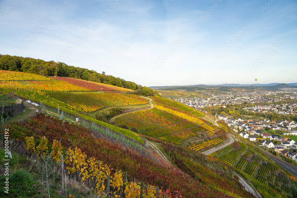 Indian summer on the red wine trail in the Ahr valley