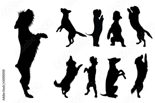 Collection vectors of dogs on white background. Symbol of animal, pet, puppy, logo, sign.