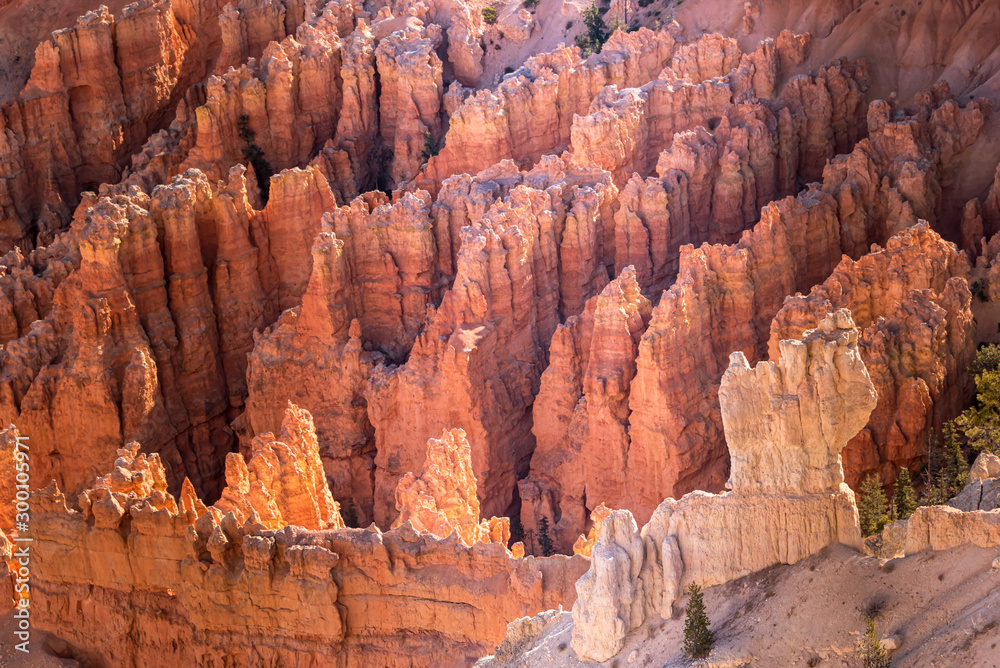 bryce canyon 8 bryce canyon 8