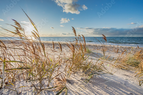 Fototapeta Naklejka Na Ścianę i Meble -  küste