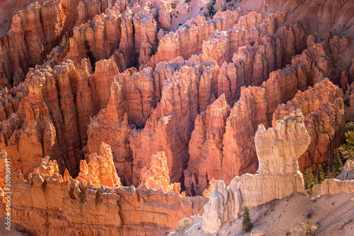 bryce canyon 8 © didierbabarit