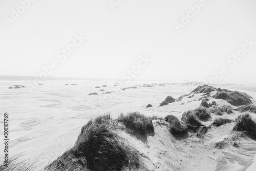 Fototapeta plage sable