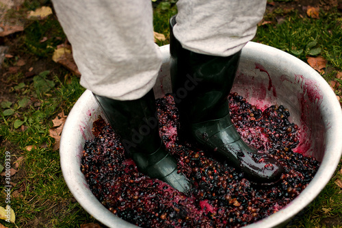 Foto Men crushing or press ripe grapes by fit in boots