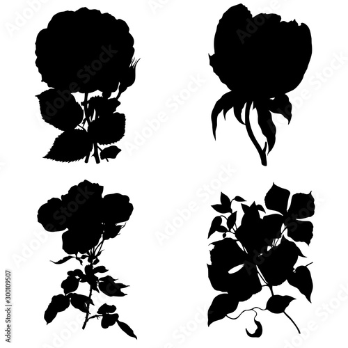 flores