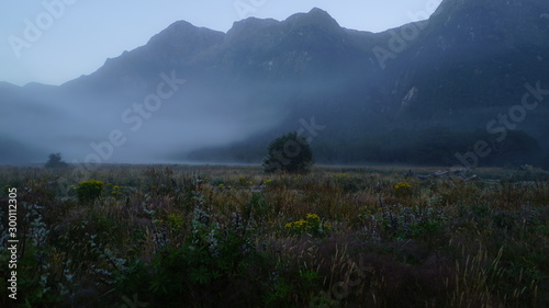 Neuseeland nebliger Morgen