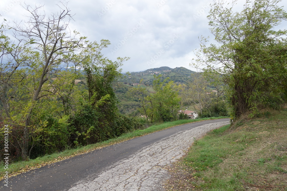 Strada di campagna