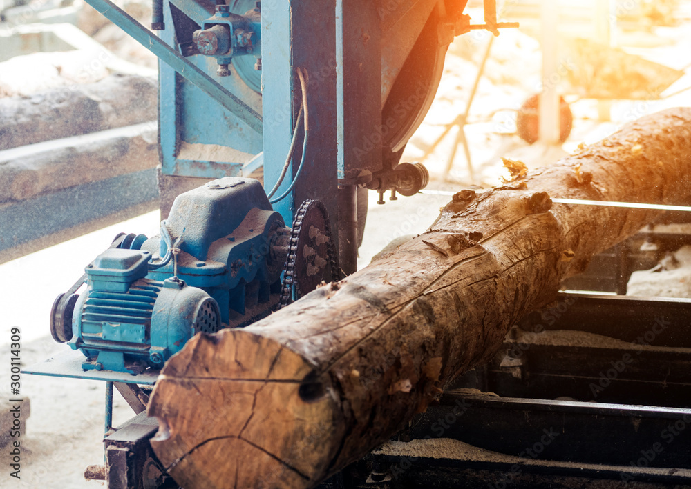 Modern sawmill. Industry sawing boards from logs - obrazy, fototapety, plakaty 