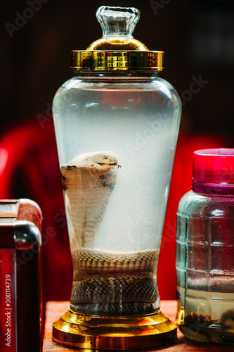 Tourists try Snake Wine on the small island Cat Ba in Ha Long Bay. The snake is dead in a jar next to other medicines such as scorpions and bugs photo