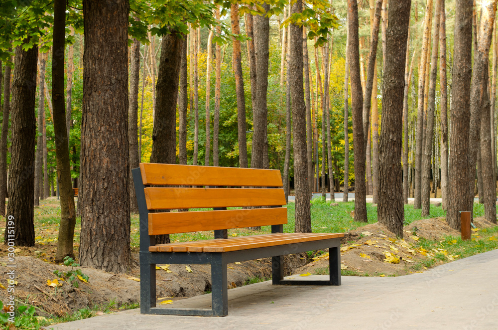 park, bench, autumn, background, road, tree, park, bench, autumn, background, road, tree,