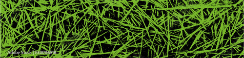Organic natural pattern. Surface with green scratched on black background. Grass vector texture.