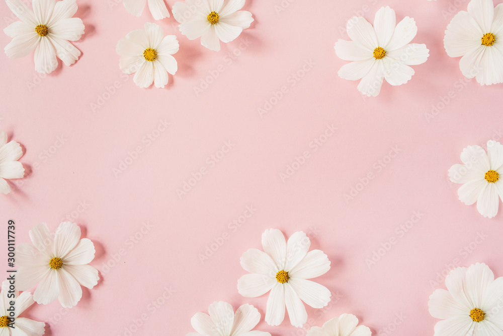 Minimal styled concept. White daisy chamomile flowers on pale pink background. Creative lifestyle, summer, spring concept. Copy space, flat lay, top view. - obrazy, fototapety, plakaty 
