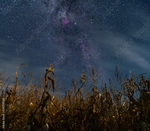 Corn field at night, Night in Fall, Starry sky photo