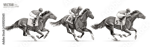 Set. Jockeys on racing horses. Sport. Champion. Hippodrome. Racetrack. Equestrian. Derby. Speed. Isolated on white background. Vector illustration © mari