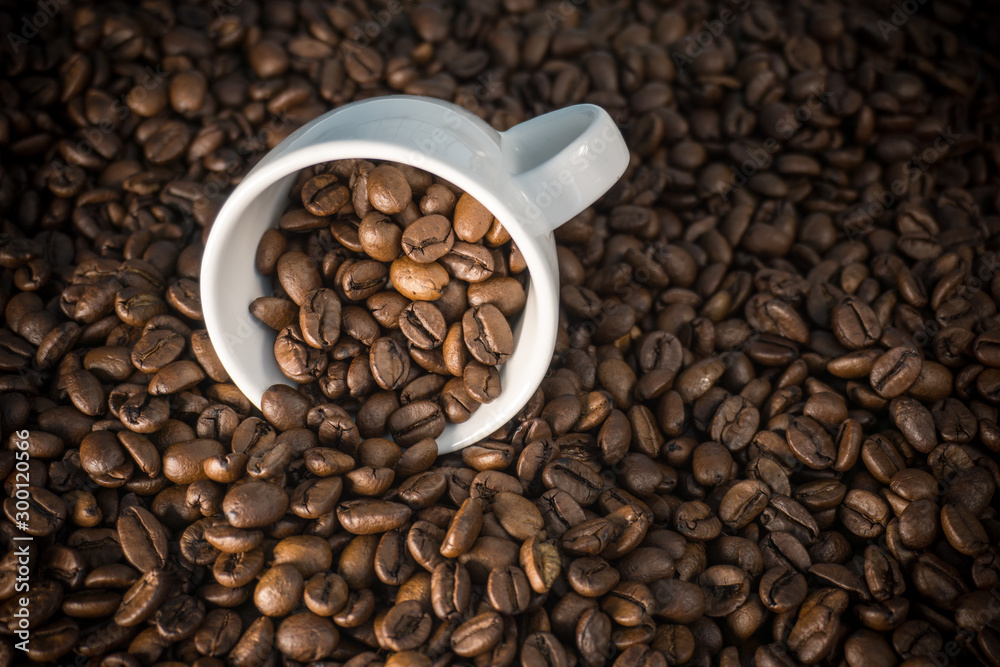 geröstete braune Kaffeebohnen in einer kleinen weißen Tasse auf Bohnen Hintergrund geröstete braune Kaffeebohnen in einer kleinen weißen Tasse auf Bohnen Hintergrund