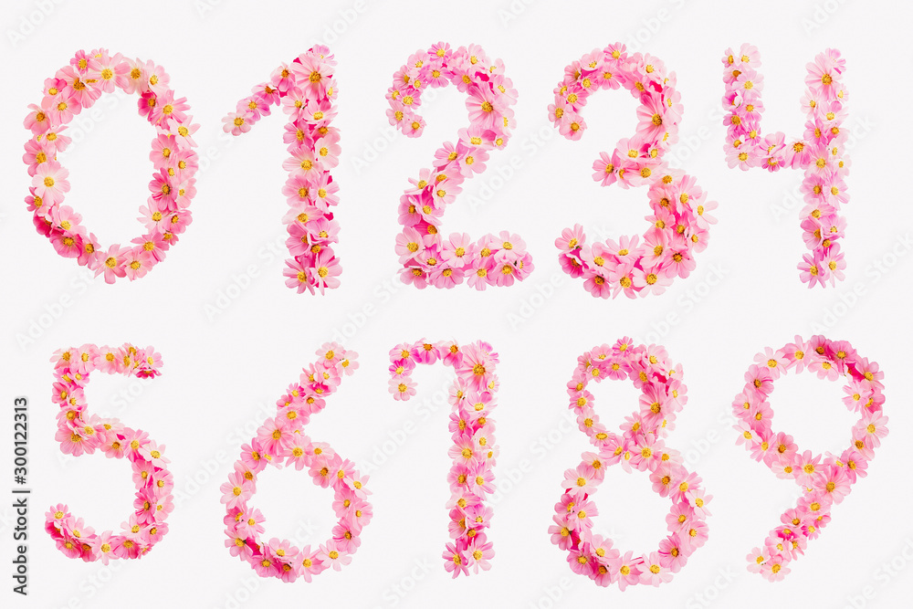numbers of flowers on a white background, cut out background
