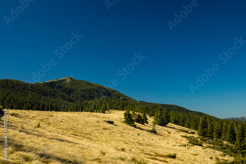 mountain forest highland scenery landscape view of clear weather summer day time 