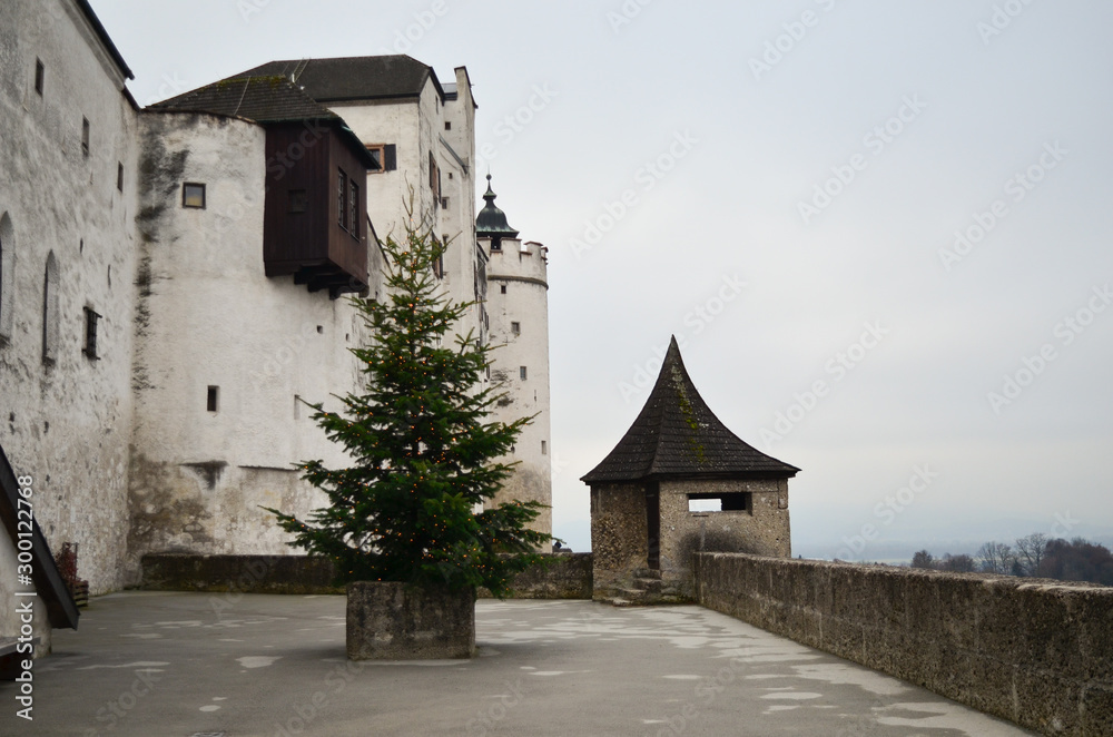 Festung Hohensalzburg mit Tannenbaum