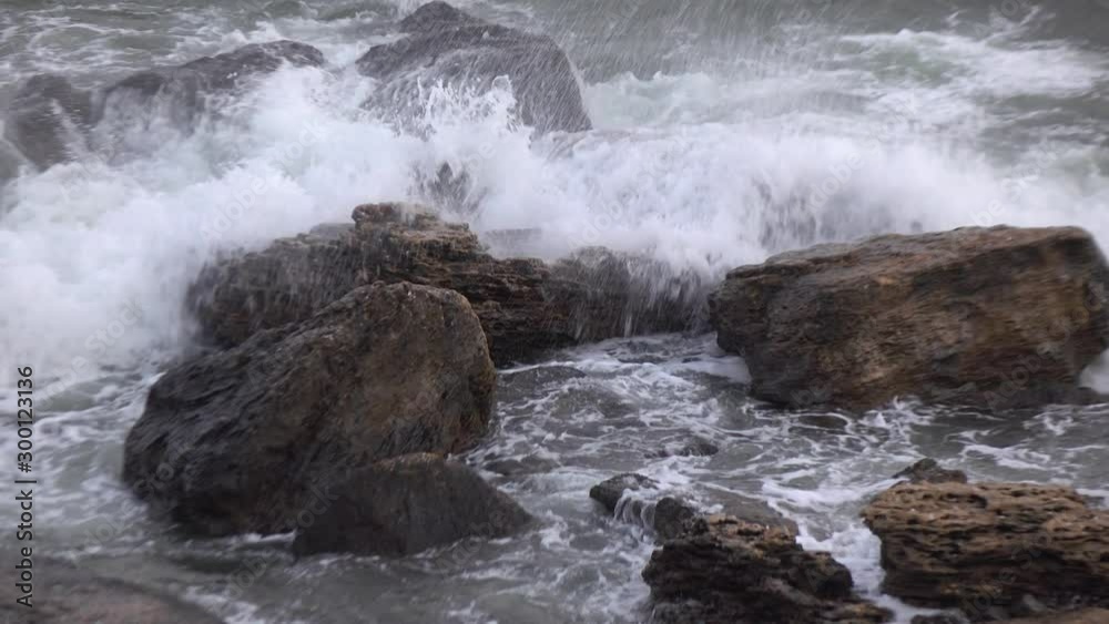 Severe storm on the sea beach. Severe storm on the sea beach.
