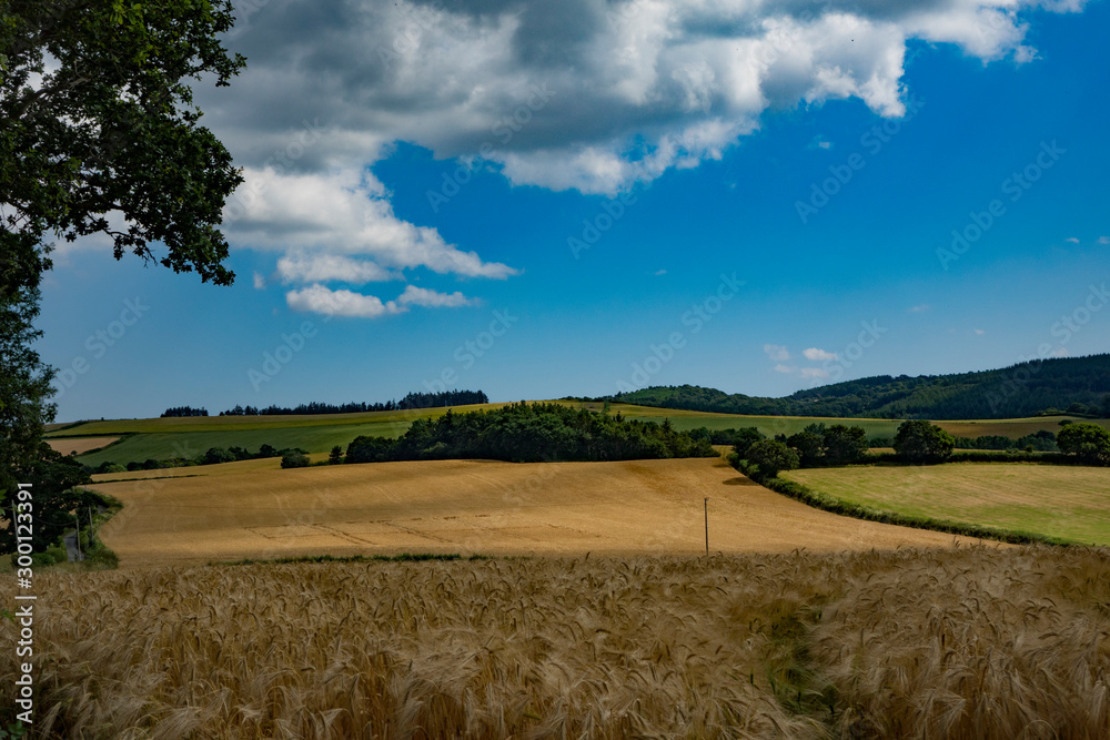 Beautiful rural landscape in Cornwall in bright sunshine