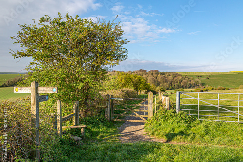 A pathway in the Sussex countryside on a sunny spring morning photo